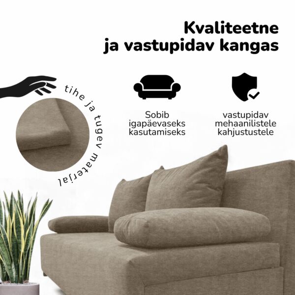 Kahekohaline lahtikäiv diivanvoodi ilma käetugedeta LIGHT