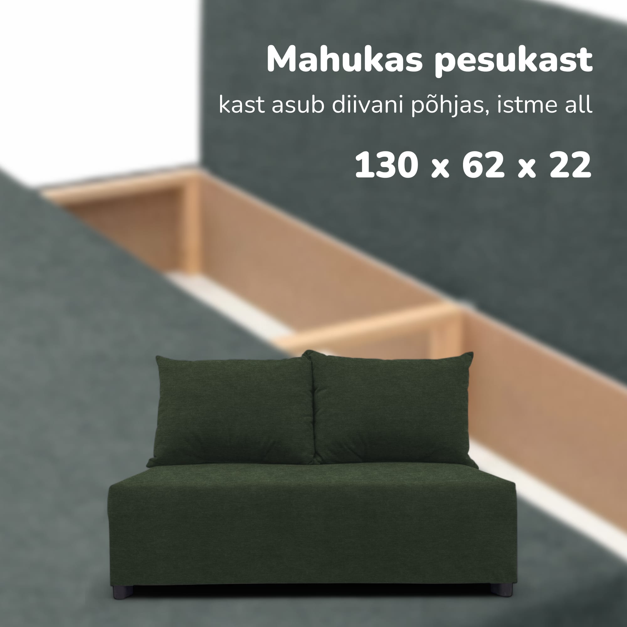 Kahekohaline lahtikäiv diivan panipaigaga MINI